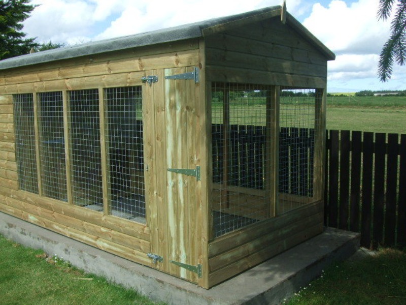 10 x 6 Cradley Apex Kennel