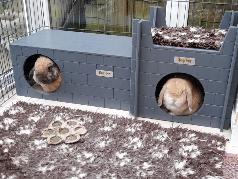 Rabbit Hideaways & Castles