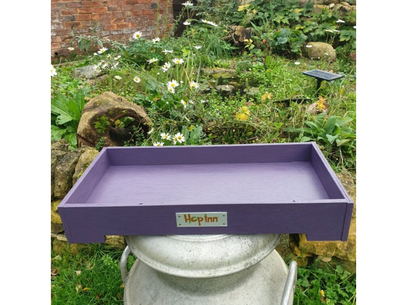 Forage and Forage Box Tray