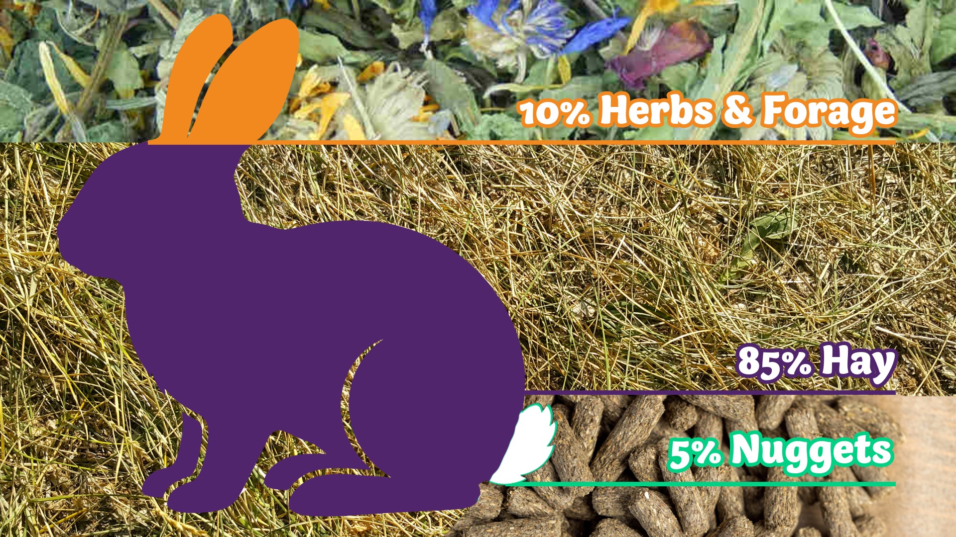 Diagram showing the proportions of a healthy rabbit diet: mostly hay and grass, a smaller portion of herbs and forage, and a small portion of nuggets.