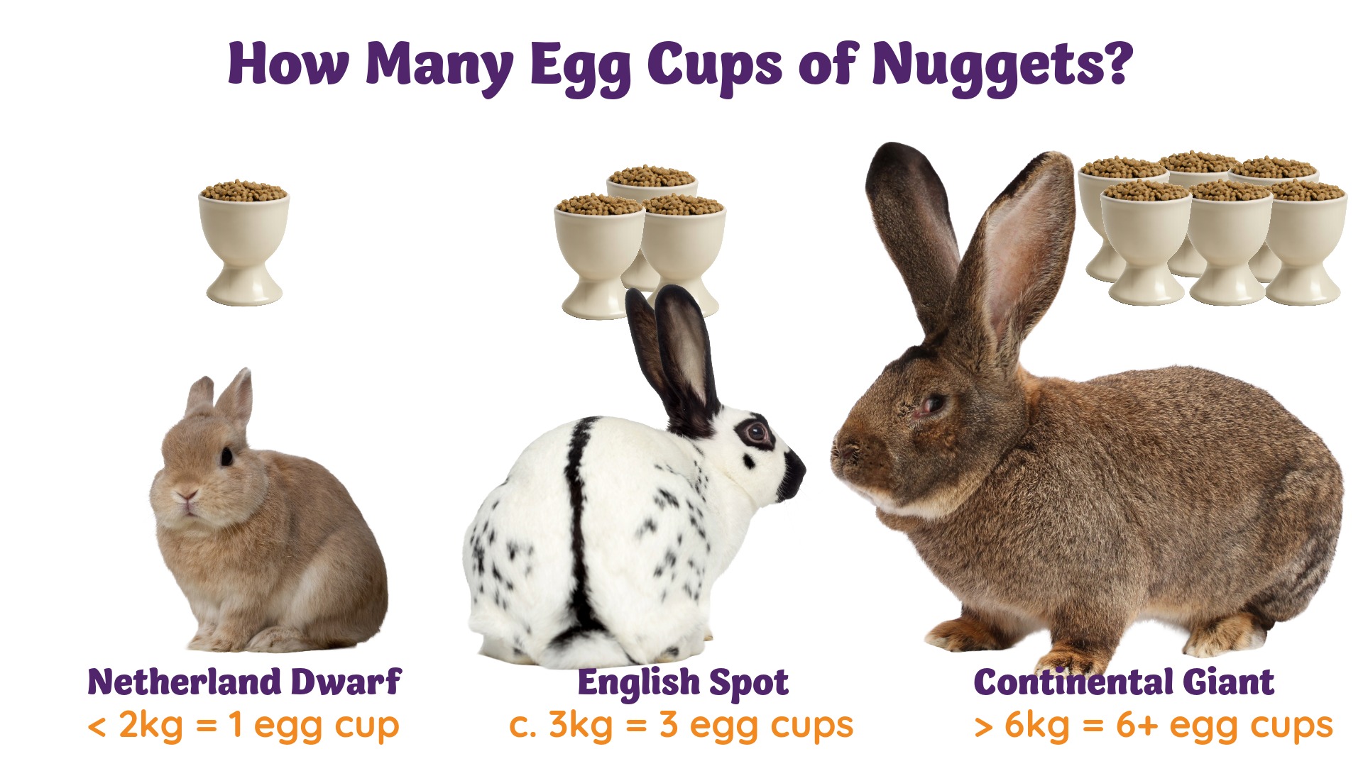 Image showing three different sized rabbits compared to the number of egg cups of rabbit nuggets they should receive